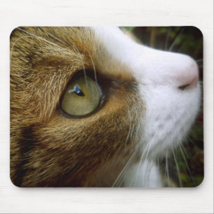 Tabby Cat Mousepad Muismat