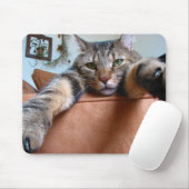 Tabby cat mousepad muismat (Met muis)