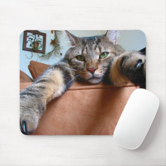 Tabby cat mousepad muismat (Met muis)