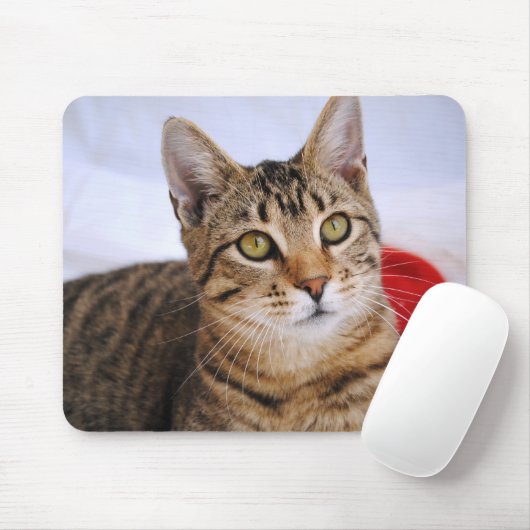 Tabby Cat Muismat (Met muis)