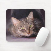Tabby Cat Muismat (Met muis)