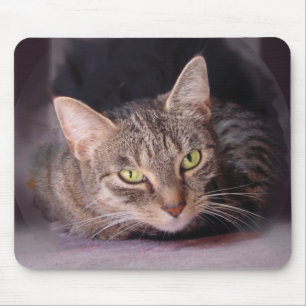 Tabby Cat Muismat