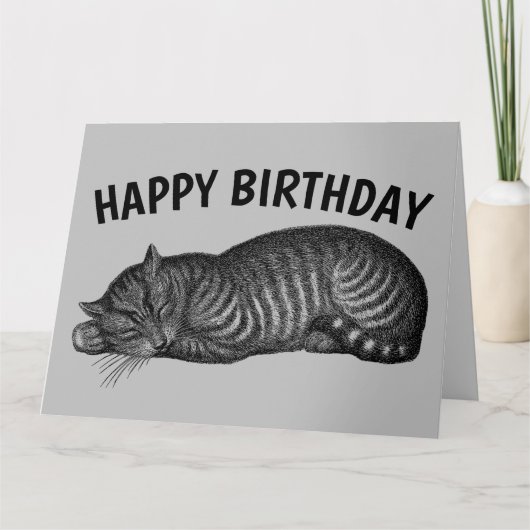 TABBY CAT NAP, EAT CAKE, BIRTHDAY KAART (Voorkant)