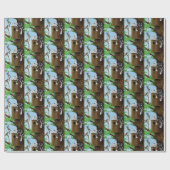 Tabby Cat Napping Vogelhuis Cadeaupapier (Vlak)