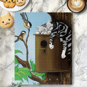 Tabby Cat Napping Vogelhuis Legpuzzel
