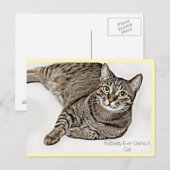 Tabby Cat: "Niemand heeft ooit een kat." | Briefkaart (Voorkant / Achterkant)