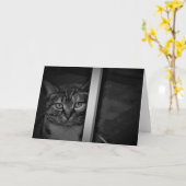 Tabby Cat / Noir, kaart (Gele Bloem)