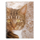 Tabby Cat Notitieboek (Voorkant)