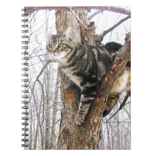 Tabby Cat Notitieboek (Voorkant)