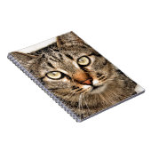 Tabby Cat Notitieboek (Rechterzijde)