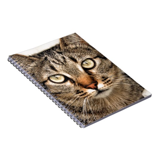 Tabby Cat Notitieboek (Rechterzijde)
