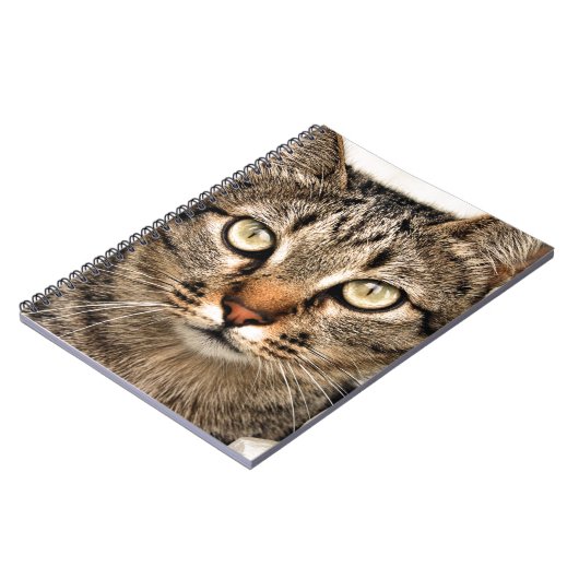 Tabby Cat Notitieboek (Linkerzijde)