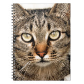 Tabby Cat Notitieboek (Voorkant)