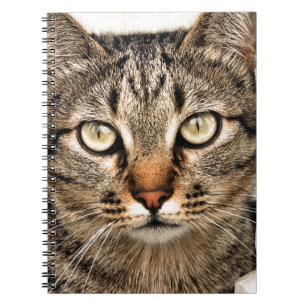 Tabby Cat Notitieboek