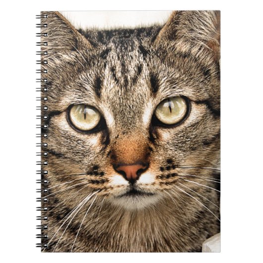 Tabby Cat Notitieboek (Voorkant)