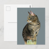 Tabby Cat on Wood Post Illustration "The Lookout" Briefkaart (Voorkant / Achterkant)