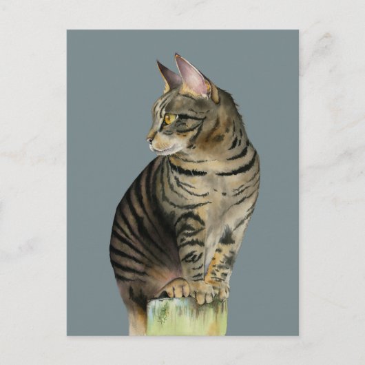 Tabby Cat on Wood Post Illustration "The Lookout" Briefkaart (Voorkant)