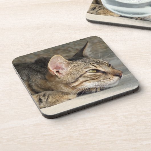 Tabby Cat Onderzetters (Linkerzijde)