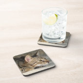 Tabby Cat Onderzetters (Rechterzijde)