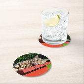 Tabby Cat Onderzetters (Insitu)