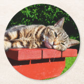 Tabby Cat Onderzetters (Voorkant)