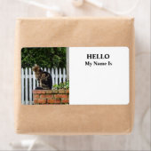 Tabby Cat op Brick Wall Etiket (Insitu)