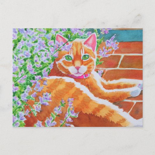 Tabby Cat op pad voor tuin Briefkaart (Voorkant)