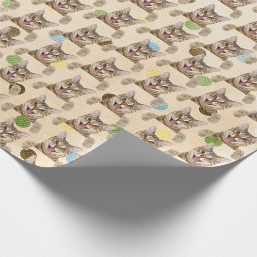 Tabby Cat op pooldots Cadeaupapier (Hoek)