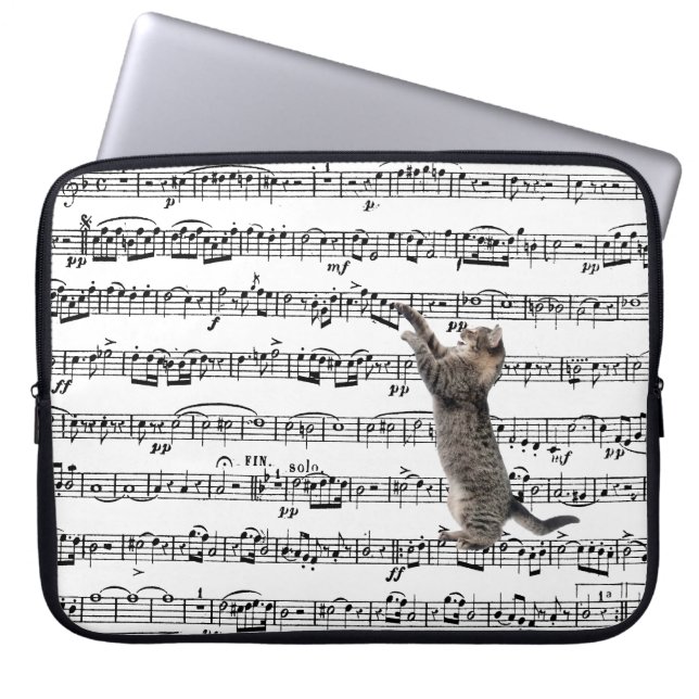 Tabby Cat op vel Music Laptop Sleeve (Voorkant)