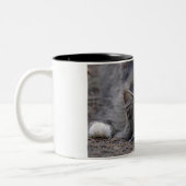 Tabby Cat op waarschuwing klaar om af te spelen Tweekleurige Koffiemok (Links)