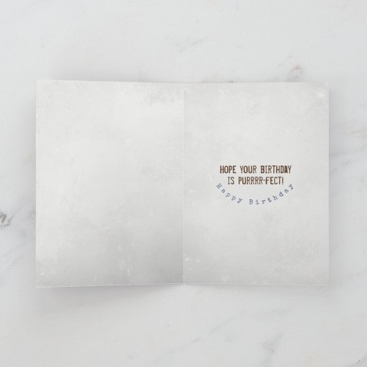 tabby cat op witte verjaardag kaart (Binnen)