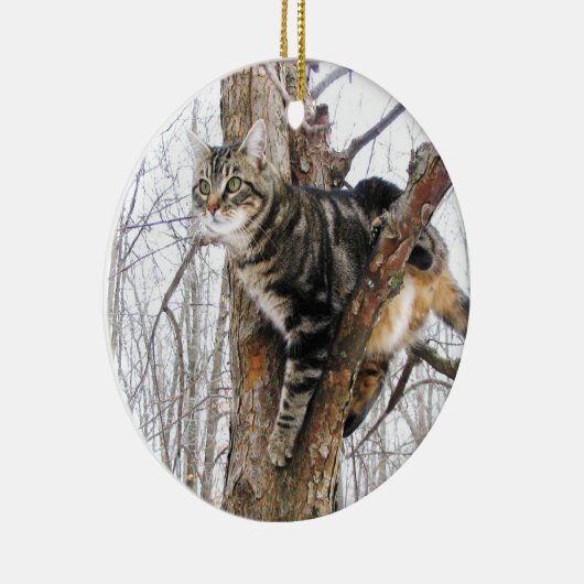 Tabby Cat Ornament (Rechts)