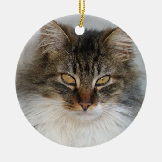 Tabby Cat ornament (Voorkant)