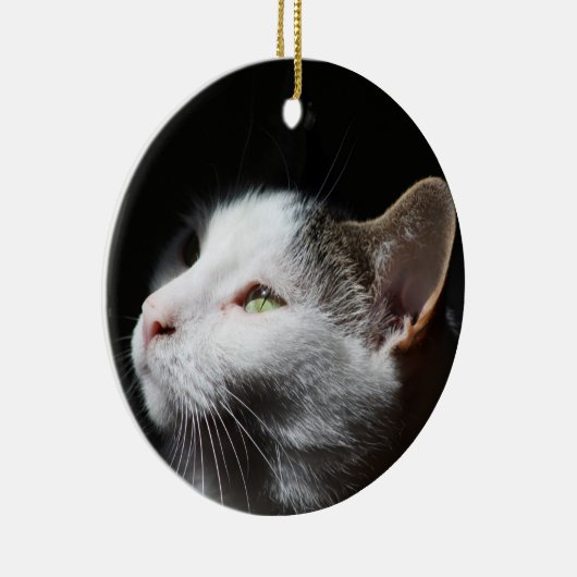 Tabby Cat ornament (Rechts)