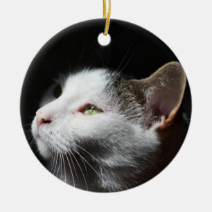 Tabby Cat ornament