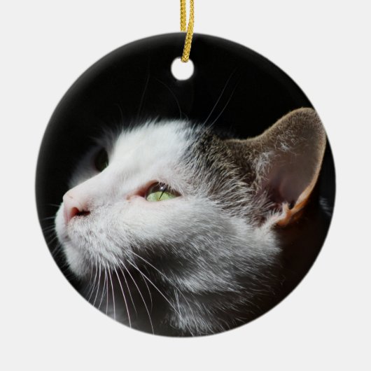 Tabby Cat ornament (Voorkant)