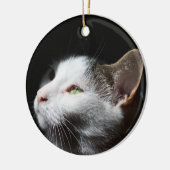 Tabby Cat ornament (Links)