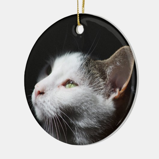 Tabby Cat ornament (Links)