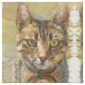 Tabby Cat Pencil Schets Stof (Close Up)