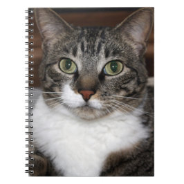 Tabby Cat Pet Animal Foto Notitieboek