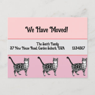 Tabby Cat Pink New Address Briefkaart, we verplaat Briefkaart