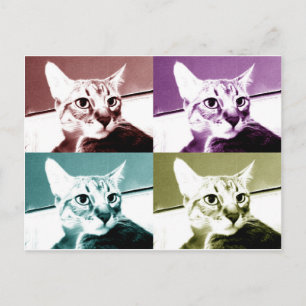 Tabby Cat - Pop Art Briefkaart