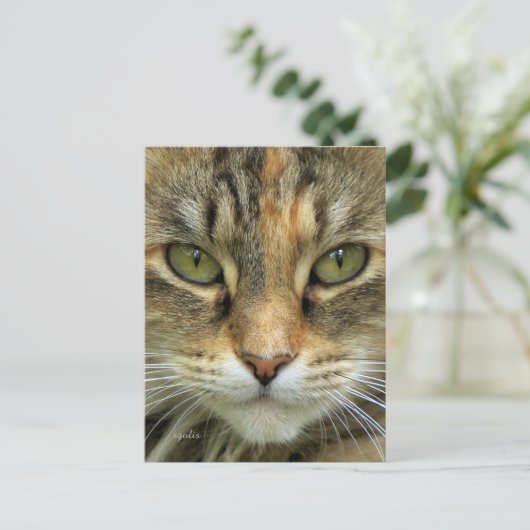 Tabby Cat Portrait Briefkaart (Staand voorkant)