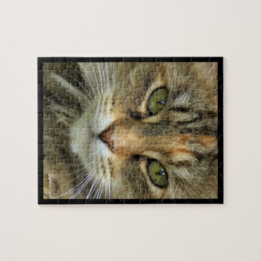 Tabby Cat Portrait Jigzaag Puzzle Legpuzzel (Horizontaal)
