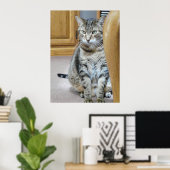 Tabby Cat Poster (Thuiskantoor)