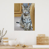 Tabby Cat Poster (Keuken)