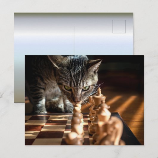 Tabby Cat Pplay Chess Briefkaart (Voorkant / Achterkant)