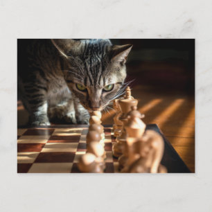 Tabby Cat Pplay Chess Briefkaart