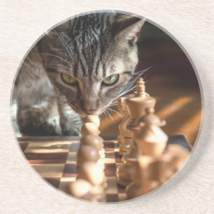 Tabby Cat Pplay Chess Zandsteen Onderzetter