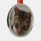 Tabby Cat Premium Round Ornament (Rechts)